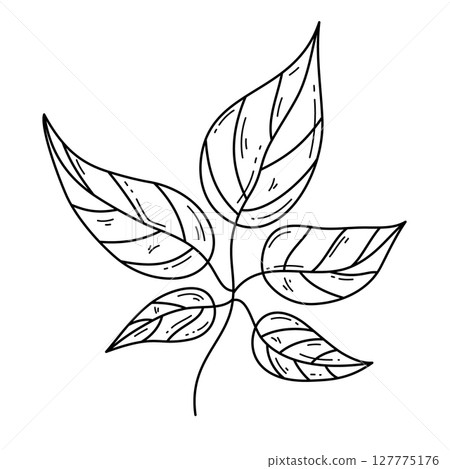 Isolated branch and leaves outline illustration Isolated branch and leaves outline illustration 127775176