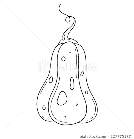 Hand drawn outline pumpkin Hand drawn outline pumpkin 127775177