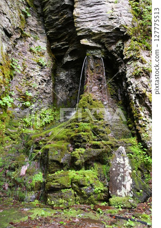 【清澈的泉水(聖水)從大瀧村「禦嶽神社」的拜殿側面流出】 【清澈的泉水(聖水)從大瀧村「禦嶽神社」的拜殿側面流出】 127775513