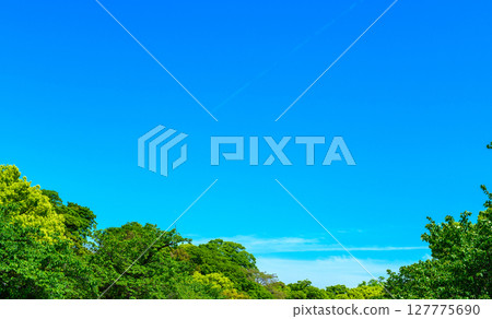 藍天和新綠色的背景材料 藍天和新綠色的背景材料 127775690