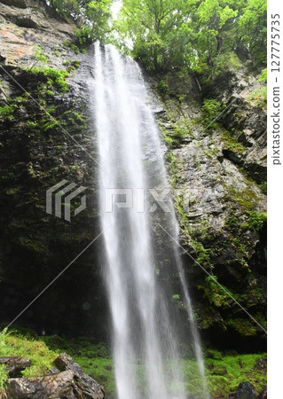 [Otaki Village: Shintaki, a water purification spot for pilgrims to Mt. Ontake] 127775735