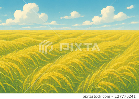 金黃色的稻穗在風和藍天下搖曳 金黃色的稻穗在風和藍天下搖曳 127776241