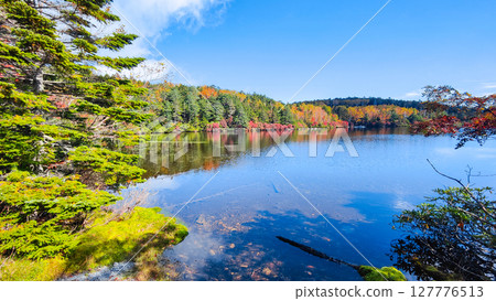 Shirakoma pond in autumn 127776513