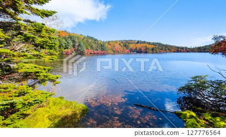 Shirakoma pond in autumn Shirakoma pond in autumn 127776564