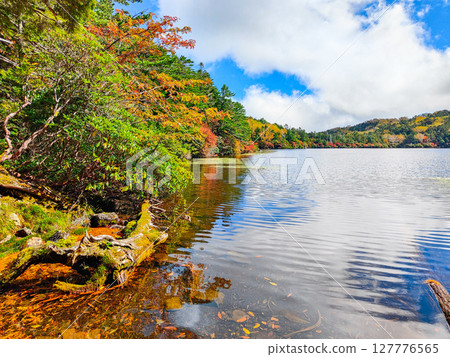 秋天的白駒池 127776565