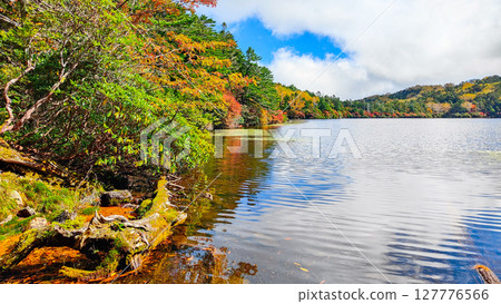 秋天的白駒池 秋天的白駒池 127776566