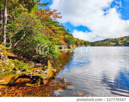 秋天的白駒池 127776567