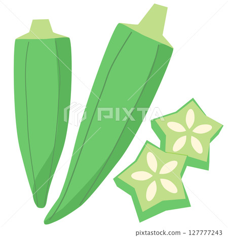 Okra summer vegetable sliced vector illustration 127777243
