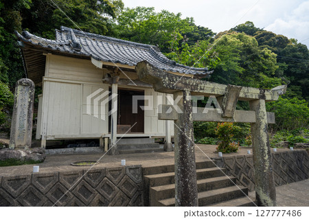 長崎五島列島的初夏 127777486
