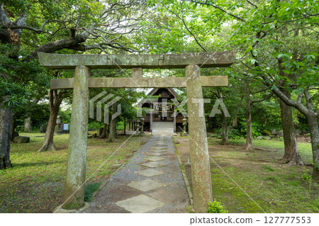 初夏的五島諸島,長崎 初夏的五島諸島,長崎 127777553