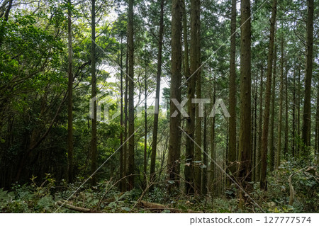 初夏的五島諸島,長崎 初夏的五島諸島,長崎 127777574