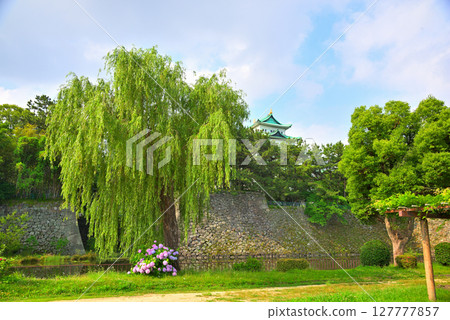Scenery with hydrangea Scenery with hydrangea 127777857