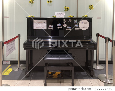 Midsummer Street Piano 127777879