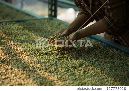 Close up smart farmer techniques hand coffee bean machinery roast apparatus dry sunlight tool sunbeam sunray sunshine fresh garden produce agriculture promotes farmer concept farm blur background Close up smart farmer techniques hand coffee bean machinery roast apparatus dry sunlight tool sunbeam sunray sunshine fresh garden produce agriculture promotes farmer concept farm blur background 127778028