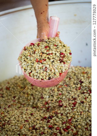 Close up smart farmer techniques hand coffee bean machinery roast apparatus dry sunlight tool sunbeam sunray sunshine fresh garden produce agriculture promotes farmer concept farm blur background 127778029