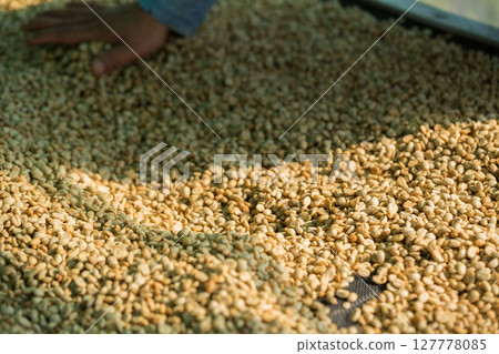 Close up smart farmer techniques hand coffee bean machinery roast apparatus dry sunlight tool sunbeam sunray sunshine fresh garden produce agriculture promotes farmer concept farm blur background Close up smart farmer techniques hand coffee bean machinery roast apparatus dry sunlight tool sunbeam sunray sunshine fresh garden produce agriculture promotes farmer concept farm blur background 127778085