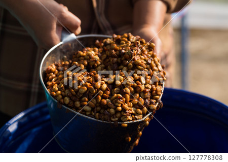 Close up smart farmer techniques hand coffee bean machinery roast apparatus dry sunlight tool sunbeam sunray sunshine fresh garden produce agriculture promotes farmer concept farm blur background 127778308