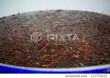 Smart farming techniques machinery roast apparatus coffee bean dry sunlight tool sunbeam sunray sunshine fresh garden produce agriculture promotes farmer concept close up plant farm blur background 127778331