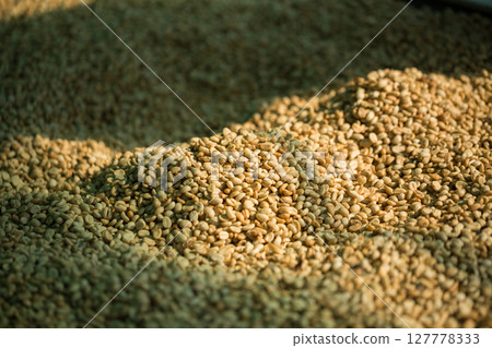 Smart farming techniques machinery roast apparatus coffee bean dry sunlight tool sunbeam sunray sunshine fresh garden produce agriculture promotes farmer concept close up plant farm blur background Smart farming techniques machinery roast apparatus coffee bean dry sunlight tool sunbeam sunray sunshine fresh garden produce agriculture promotes farmer concept close up plant farm blur background 127778333