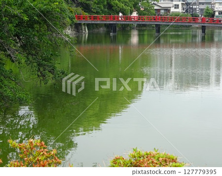 深綠色映照在水面上 127779395