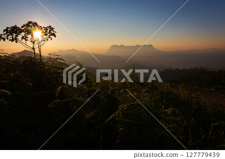 Beautiful Doi Luang Chiang Dao mountain in the morning at Chiang Mai , Thailand 127779439