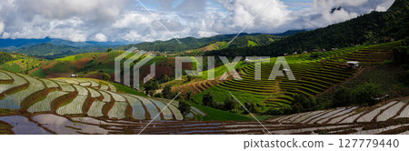 landscape of Rice terrace at Ban pa bong piang in Chiang mai Thailand landscape of Rice terrace at Ban pa bong piang in Chiang mai Thailand 127779440