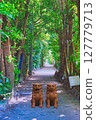 Bise Fukugi Tree Line（沖繩） Shisa 127779713