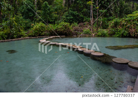 Ban Nam Rad Forested watersheds in Surat Thani, Thailand. 127780337