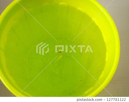 垃圾桶裡裝滿了水,更容易看到污垢(左) 垃圾桶裡裝滿了水,更容易看到污垢(左) 127781122