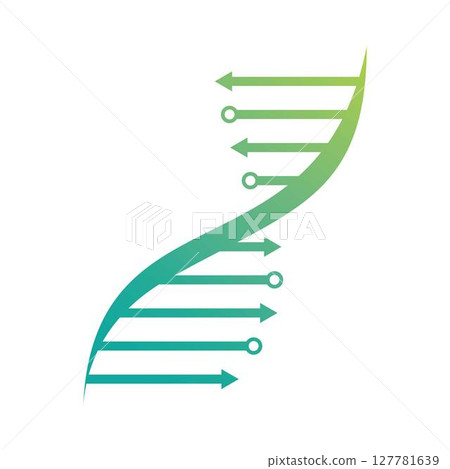 DNA logo template design 127781639
