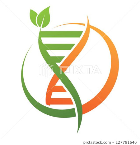 DNA logo template design DNA logo template design 127781640