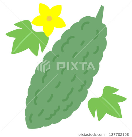 Bitter melon fruit, flowers and leaves summer vegetables vector illustration 127782108