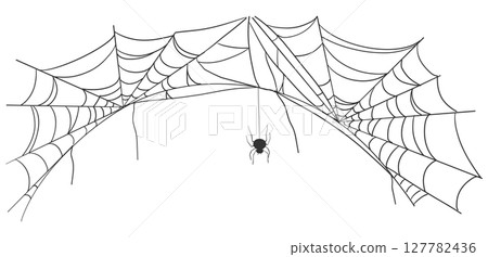 Spiderweb cartoon cobwebs for Halloween design. Vector illustration of hanging spider nets, ideal for dark spooky banners, decorations, or creepy party backdrops. Spiderweb cartoon cobwebs for Halloween design. Vector illustration of hanging spider nets, ideal for dark spooky banners, decorations, or creepy party backdrops. 127782436