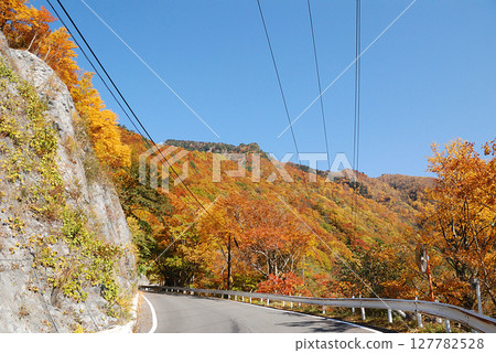 志賀高原地區的道路 / 志賀高原國立公園林道的秋日風景 127782528