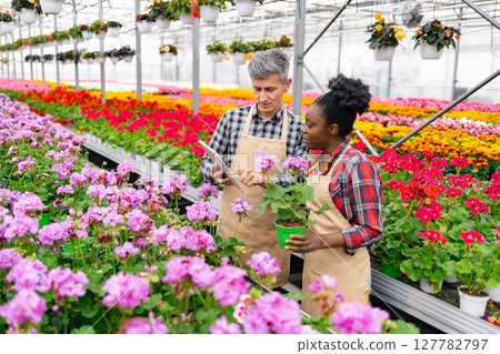 Two people in a greenhouse, discussing a plant. They are surrounded by colorful flowers. Two people in a greenhouse, discussing a plant. They are surrounded by colorful flowers. 127782797