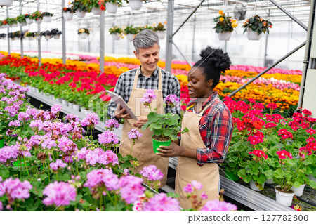 Two people examine a potted plant in a vibrant greenhouse, surrounded by colorful flowers. 127782800