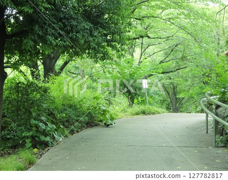 綠色環繞的道路 綠色環繞的道路 127782817