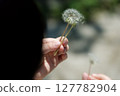 拿著蒲公英絨毛的女孩 127782904