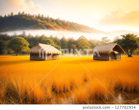 金色的稻田在清晨的陽光下閃閃發光，茅草屋頂漂浮在薄霧中，鄉村風光2 127782954