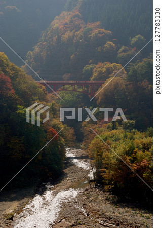 Autumn in afternoon / Autumn leaves in the soft afternoon sunlight (Shiga Kogen National Park) Autumn in afternoon / Autumn leaves in the soft afternoon sunlight (Shiga Kogen National Park) 127783130