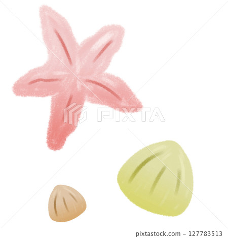 手繪黃色貝殼和橙色海星 手繪黃色貝殼和橙色海星 127783513