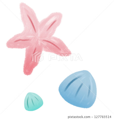 手繪藍色貝殼與粉紅海星 127783514