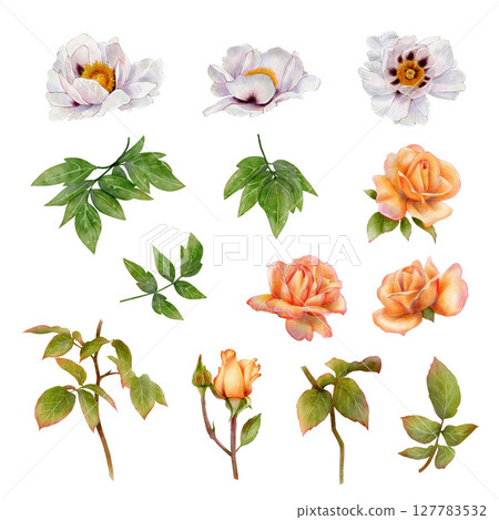 Set of white tree peonies and peach roses 127783532