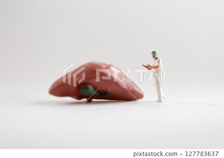 A model of the liver and a miniature of a standing doctor examining the liver 127783637