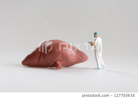 肝臟模型和站立醫生檢查肝臟的微縮模型 肝臟模型和站立醫生檢查肝臟的微縮模型 127783638