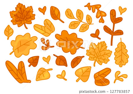 Autumn Leaves Decorative Element Set 127783857