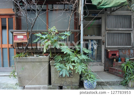 巷子裡用作花盆的消防水箱 巷子裡用作花盆的消防水箱 127783953