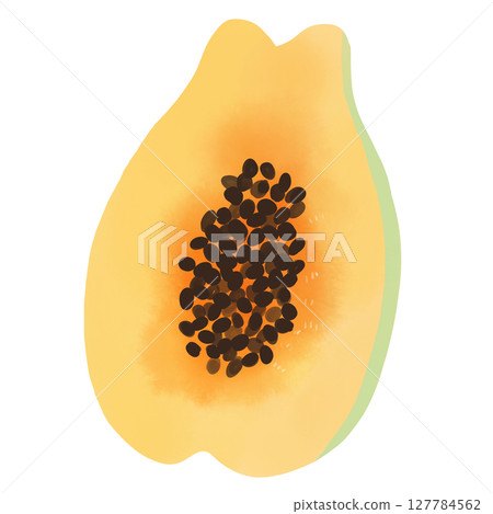 帶籽切木瓜的水彩插圖 127784562
