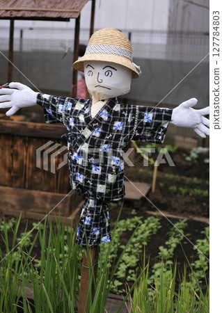 稻田稻草人水稻種植 稻田稻草人水稻種植 127784803