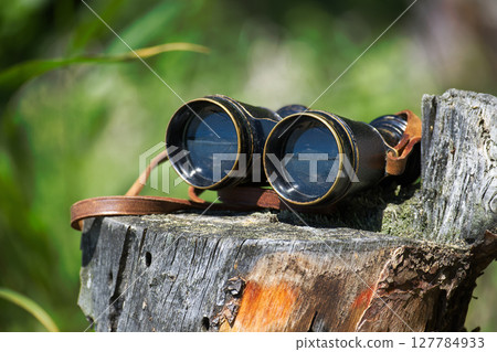 Vintage Binoculars on a Weathered Wooden Stump in Nature 127784933